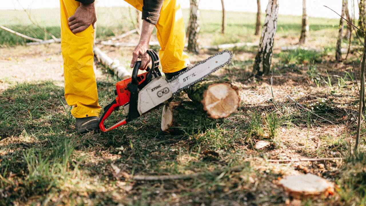 TreeGuard Tree Service